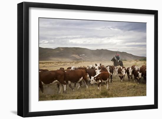 Gauchos with Cattle at the Huechahue Estancia, Patagonia, Argentina, South America-Yadid Levy-Framed Photographic Print