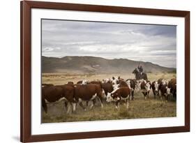 Gauchos with Cattle at the Huechahue Estancia, Patagonia, Argentina, South America-Yadid Levy-Framed Photographic Print