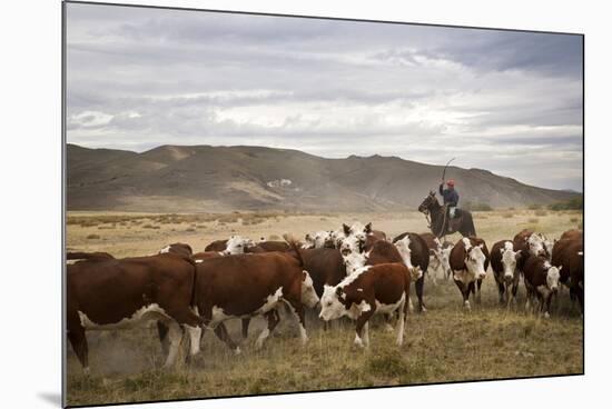 Gauchos with Cattle at the Huechahue Estancia, Patagonia, Argentina, South America-Yadid Levy-Mounted Photographic Print