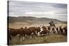 Gauchos with Cattle at the Huechahue Estancia, Patagonia, Argentina, South America-Yadid Levy-Stretched Canvas