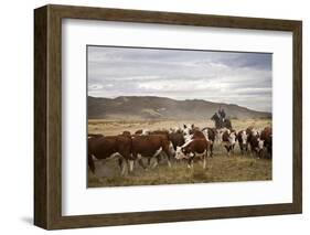 Gauchos with Cattle at the Huechahue Estancia, Patagonia, Argentina, South America-Yadid Levy-Framed Photographic Print