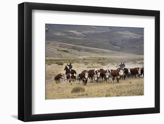 Gauchos with Cattle at the Huechahue Estancia, Patagonia, Argentina, South America-Yadid Levy-Framed Photographic Print