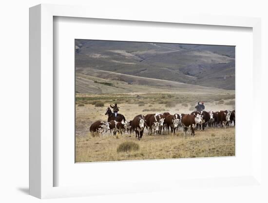 Gauchos with Cattle at the Huechahue Estancia, Patagonia, Argentina, South America-Yadid Levy-Framed Photographic Print