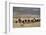 Gauchos with Cattle at the Huechahue Estancia, Patagonia, Argentina, South America-Yadid Levy-Framed Photographic Print