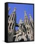 Gaudi Church Architecture, La Sagrada Familia, Barcelona, Catalunya (Catalonia) (Cataluna), Spain-Gavin Hellier-Framed Stretched Canvas