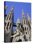 Gaudi Church Architecture, La Sagrada Familia, Barcelona, Catalunya (Catalonia) (Cataluna), Spain-Gavin Hellier-Stretched Canvas