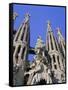 Gaudi Church Architecture, La Sagrada Familia, Barcelona, Catalunya (Catalonia) (Cataluna), Spain-Gavin Hellier-Framed Stretched Canvas