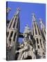 Gaudi Church Architecture, La Sagrada Familia, Barcelona, Catalunya (Catalonia) (Cataluna), Spain-Gavin Hellier-Stretched Canvas