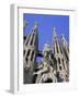 Gaudi Church Architecture, La Sagrada Familia, Barcelona, Catalunya (Catalonia) (Cataluna), Spain-Gavin Hellier-Framed Photographic Print