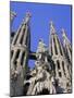 Gaudi Church Architecture, La Sagrada Familia, Barcelona, Catalunya (Catalonia) (Cataluna), Spain-Gavin Hellier-Mounted Photographic Print
