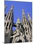 Gaudi Church Architecture, La Sagrada Familia, Barcelona, Catalunya (Catalonia) (Cataluna), Spain-Gavin Hellier-Mounted Photographic Print