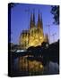 Gaudi Church Architecture, La Sagrada Familia Cathedral at Night, Barcelona, Catalunya, Spain-Gavin Hellier-Stretched Canvas