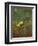 Gauguin's Chair, 1888-Vincent van Gogh-Framed Premium Giclee Print