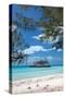 Gaulding Cay Island-Larry Malvin-Stretched Canvas