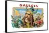 Gaulois Cigars-null-Framed Stretched Canvas