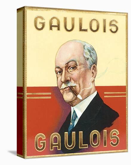 Gaulois-null-Stretched Canvas