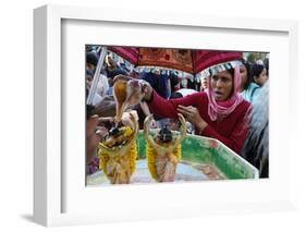 Gaura Purnima celebration, Sarcelles, Val d'Oise, France-Godong-Framed Photographic Print