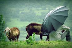 Lavasa Rain-Gaurav Patil-Photographic Print