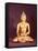 Gautama the Buddha-Nepalese School-Framed Stretched Canvas