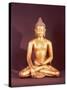 Gautama the Buddha-Nepalese School-Stretched Canvas