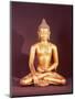 Gautama the Buddha-Nepalese School-Mounted Premium Giclee Print