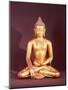 Gautama the Buddha-Nepalese School-Mounted Giclee Print