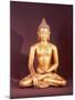 Gautama the Buddha-Nepalese School-Mounted Giclee Print