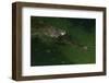 Gavial at a Gator Farm-W. Perry Conway-Framed Photographic Print