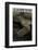 (Gavialis Gangeticus (Gharial)) - Foreleg-Paul Starosta-Framed Photographic Print