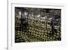 Gavialis Gangeticus (Gharial) - Scales-Paul Starosta-Framed Photographic Print