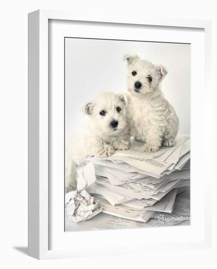 Gavin and Gary-Rachael Hale-Framed Art Print