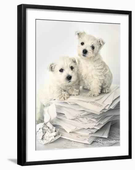 Gavin and Gary-Rachael Hale-Framed Art Print