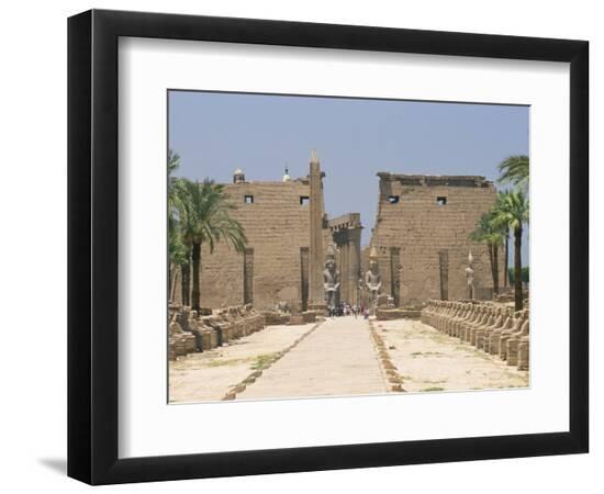 Photographic Print, , large