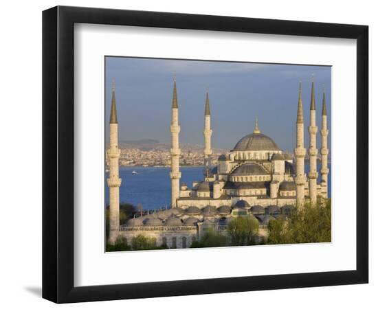 Premium Photographic Print, , large