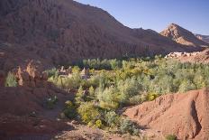 Dades Valley and the Gorges, Atlas Mountains, Morocco, North Africa, Africa-Gavin Hellier-Photographic Print