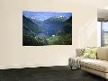 Laminate