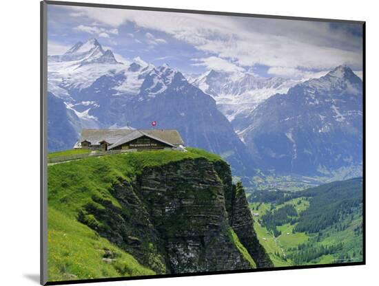 Photographic Print, , large