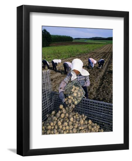 Photographic Print, , large