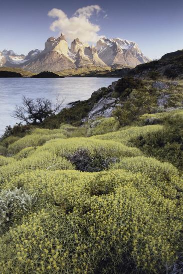Premium Photographic Print, , large