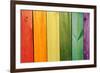 Gay Flag-pyzata-Framed Photographic Print