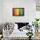 Gay Flag-pyzata-Framed Photographic Print displayed on a wall