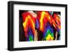 Gay Parade Madrid 2010-Curioso Travel Photography-Framed Photographic Print