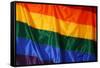 Gay Pride Flag-MSPhotographic-Framed Stretched Canvas