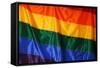 Gay Pride Flag-MSPhotographic-Framed Stretched Canvas