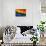 Gay Pride Flag-MSPhotographic-Photographic Print displayed on a wall