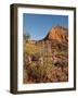 Gayfeather, Palo Duro Canyon State Park, Texas, USA-Larry Ditto-Framed Photographic Print