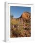 Gayfeather, Palo Duro Canyon State Park, Texas, USA-Larry Ditto-Framed Photographic Print