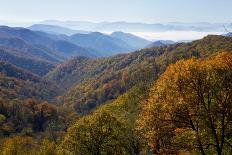 Morning Mist Amid Trees, Missouri, USA-Gayle Harper-Photographic Print