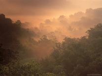 Morning on a Quiet Lake, Arkansas, USA-Gayle Harper-Photographic Print