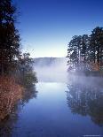 Morning Mist Amid Trees, Missouri, USA-Gayle Harper-Photographic Print